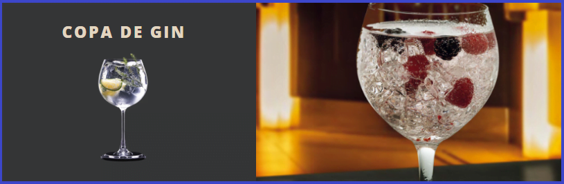Copa de Gin