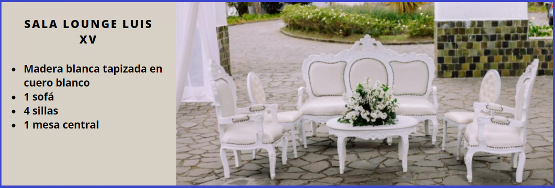 sala lounge luis XV